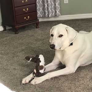 Meet your Posher, Leona